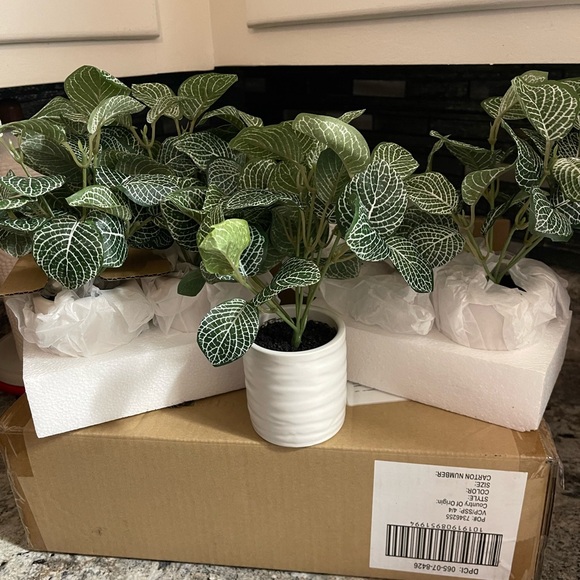 4 Artificial Plant Set Tabletop Plants NEW Fake Plants White Planters SET - Picture 6 of 8